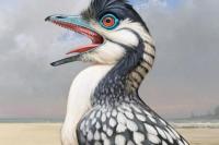 Studi: Burung Pertama era Dinosaurus Ubah Paruh demi Hidup di Udara