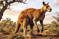 Arkeolog Buktikan Kangguru Raksasa Prasejarah Tetap Mampu Melompat