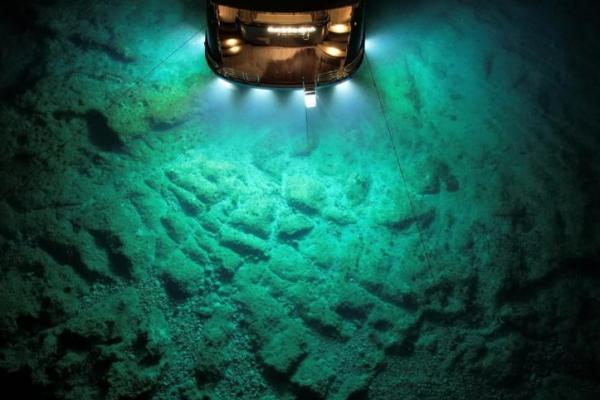 Studi: Eksplorasi Tambang di Laut Musnahkan Hewan Laut dalam Sekejap