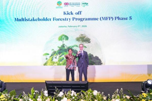 MFP Fase 5 Diluncurkan, Inggris Bantu Perbaiki Tata Kelola Hutan Indonesia