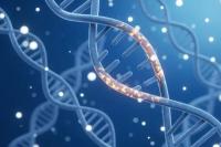 Ilustrasi genetika manusia (Foto: Live Science)