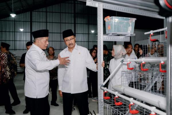 Kemensos Serahkan Bantuan Paket Ayam Petelur, Dorong KPM Masuk Kopdes