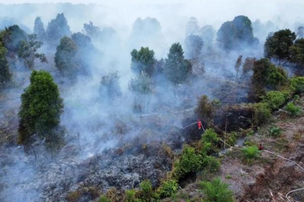 Kemenhut Pastikan Kebakaran di Karhutla Tak Menyebar ke Riau