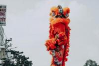 Mengenal Sosok Singa dalam Tradisi Barongsai