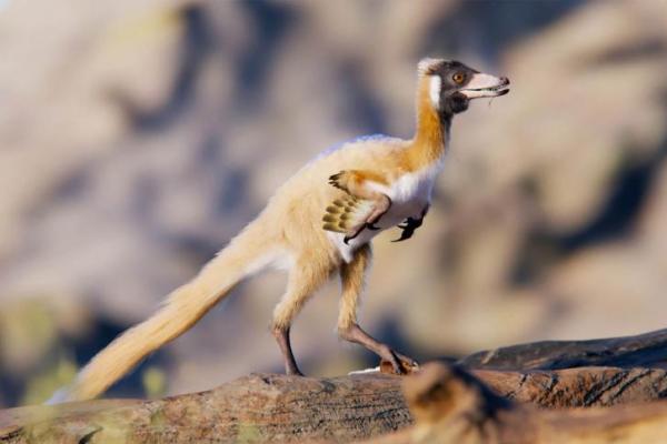 Fosil Berusia 90 Juta Tahun Ungkap Evolusi Dinosaurus Mini Mirip Burung