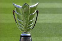 Trofi Piala Asia (Foto: AFP/KHALED DESOUKI)