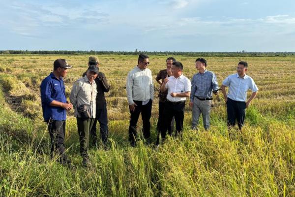 Kolaborasi Indonesia-Tiongkok Fokus Benahi Manajemen dan Hilirisasi Padi