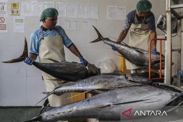 Lebaran 2026, KKP: Stok Ikan Aman, Pelabuhan Tetap Beroperasi