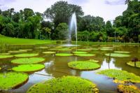 8 Rekomendasi Tempat Wisata di Bogor Saat Libur Lebaran