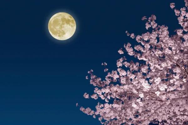 Fenomena Pink Moon Hiasi Langit Awal April, Disusul Blue Moon Langka di Mei