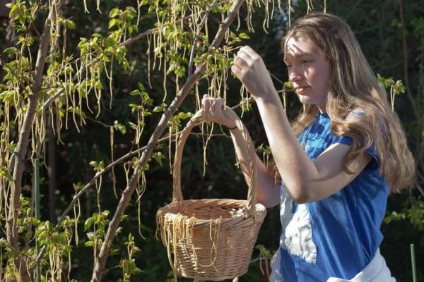 7 Lelucon April Mop Perusahaan Besar yang Pernah Menghebohkan Dunia