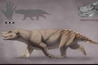 Penelitian Baru Ungkap Fosil Trias Ini Adalah Spesies Baru, Bukan Juvenil