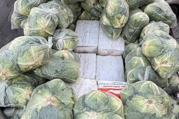 Polisi Thailand Sita 1,6 Ton Narkoba dalam Kardus Kol