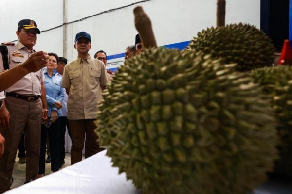 Durian Parigi Moutong Diekspor, Mentrans: Bukti Transformasi Transmigrasi