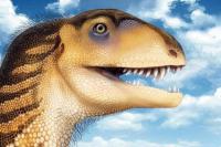 Awalnya Diabaikan, Fosil Tengkorak Hancur Ini Kini Ubah Sejarah Dinosaurus