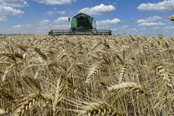 Maroko Perkirakan Panen Sereal Melonjak Dua Kali Lipat Tahun Ini