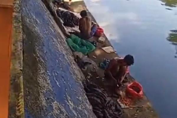 Jual Daging Ikan Sapu-Sapu, Warga Cikarang Ditangkap Satpol PP