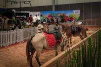 PetFest Indonesia 2026 Hadirkan Kota Imajinatif Untuk Para Pecinta Hewan