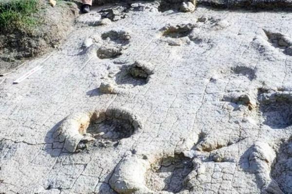 Jejak Dinosaurus Raksasa Berusia 120 Juta Tahun Kembali Ditemukan di Asia