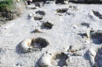 Jejak Dinosaurus Raksasa Berusia 120 Juta Tahun Kembali Ditemukan di Asia