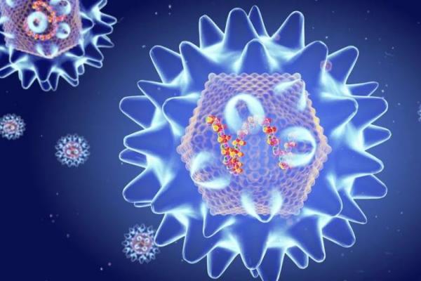 Misteri Virus di Kapal Pesiar: 3 Tewas, WHO Soroti Dugaan Hantavirus