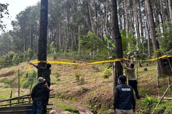 Sulap Hutan jadi Peternakan Ayam, Pengusaha Ini Terancam 10 Tahun Penjara