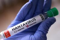 Minta Publik Tak Khawatirkan Virus Hanta, WHO: Risiko Menular Rendah
