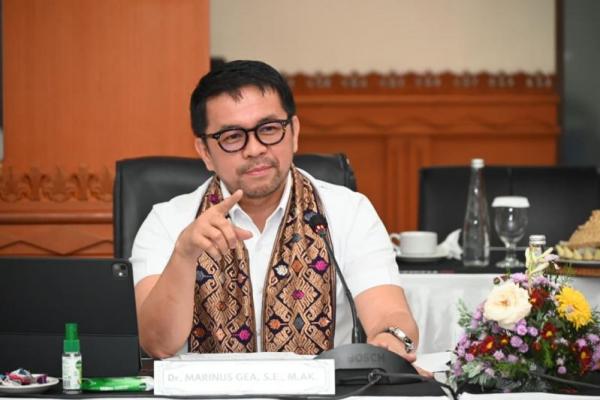 Ancaman Kejahatan Transnasional, Marinus Gea Minta Imigrasi Bertindak Tegas
