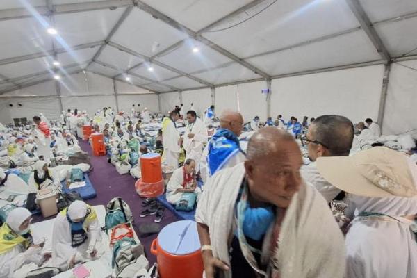 Jemaah Haji Mulai Diberangkatkan ke Arafah, Kemenhaj Imbau Jaga Kesehatan