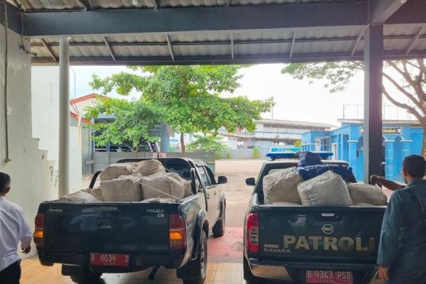 Kemenhut Tahan Tersangka Penyelundup 3 Ton Sisik Trenggiling Tujuan Kamboja