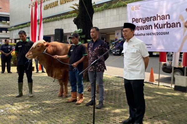 Menbud Fadli Zon Serahkan 23 Sapi Kurban, Bobot hingga 7,7 Ton