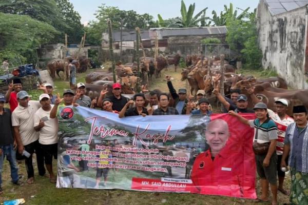 PDIP Jatim Bagikan 485 Sapi Kurban untuk Warga Miskin dan Pesantren