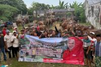 PDIP Jatim Bagikan 485 Sapi Kurban untuk Warga Miskin dan Pesantren