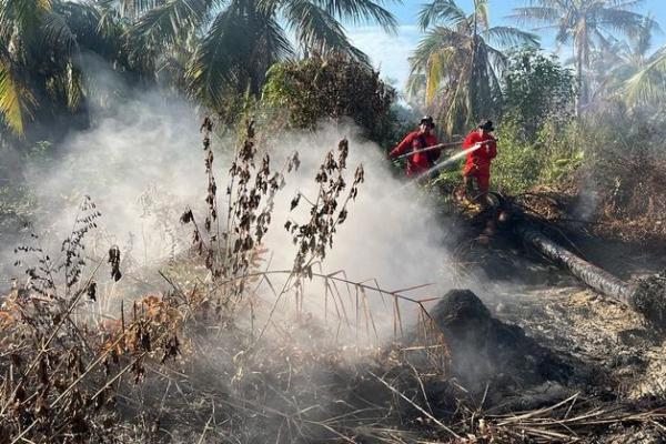 Sejak Idul Adha, Tim Manggala Agni Berjibaku Padamkan Karhutla di Riau