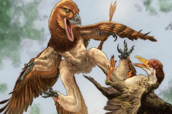 Fosil Predator Bersayap Empat Ungkap Pemburu Burung Purba di China