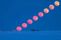 Strawberry Moon Bakal Hiasi Langit 29 Juni, Mengapa Disebut Bulan Stroberi?