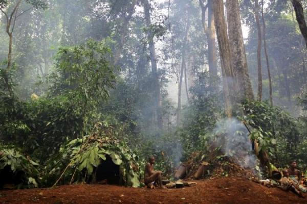 Jejak Purba di Indonesia Ungkap Kemungkinan Baru Asal-usul Homo Sapiens