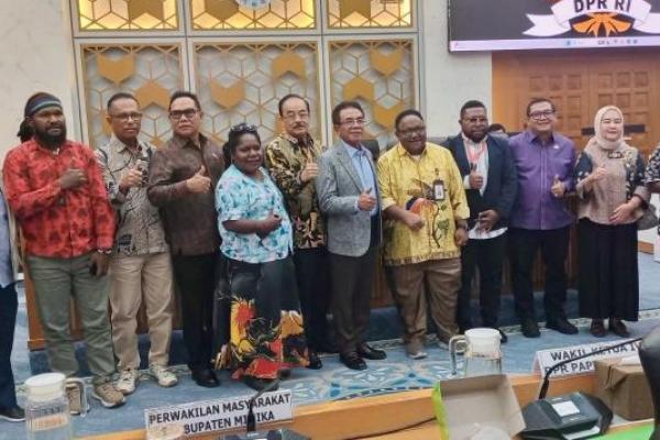 Komisi IV DPR Bentuk Timsus Investigasi Tailing Freeport di Timika