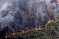 Panas Ekstrem Picu Kebakaran Hutan di Spanyol, 12 Orang Tewas