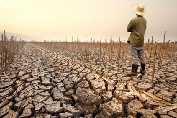 Kenaikan Suhu Panas Global Diprediksi Picu Lonjakan Bunuh Diri pada 2050