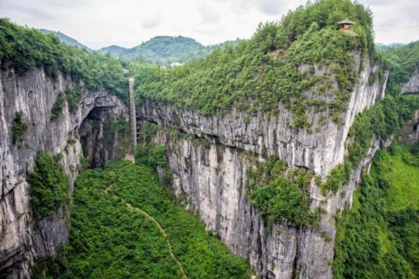 Lubang Raksasa di China Simpan Pohon Langka, Peneliti Ungkap Sisi Gelapnya