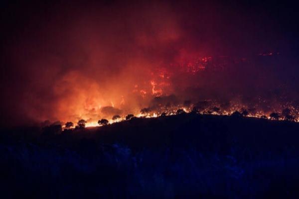 Kebakaran Hutan di Madrid, Spanyol Umumkan Darurat Nasional