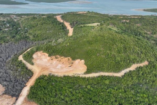Kemenhut Tetapkan PT GTP Tersangkan Perambahan Hutan Lindung Tanjung Piayu