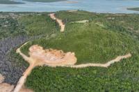 Kemenhut Tetapkan PT GTP Tersangkan Perambahan Hutan Lindung Tanjung Piayu
