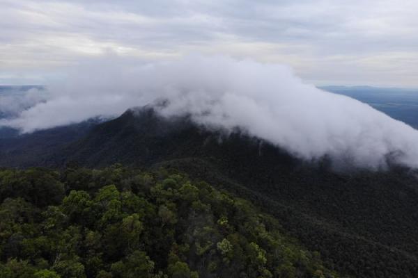 Gunung Maras, Atap Bangka Belitung, Benteng Terakhir Satwa Endemik Bangka