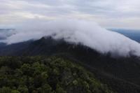 Gunung Maras, Atap Bangka Belitung, Benteng Terakhir Satwa Endemik Bangka