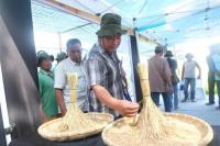 Syngenta Gandeng Petani Sumut Dongkrak Produktivitas Padi