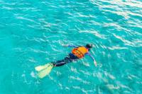 Diperingati Setiap 30 Juli, Apa Itu Hari Snorkeling Sedunia?