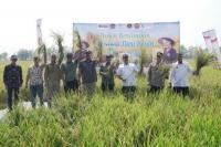 Tiga Lembaga dan Eks Napiter Sukses Kelola Pertanian Sampai Peternakan 