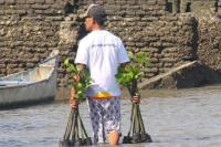 Rehabilitasi Mangrove, BNI Komitmen Dukung Pelestarian Ekosistem Pesisir